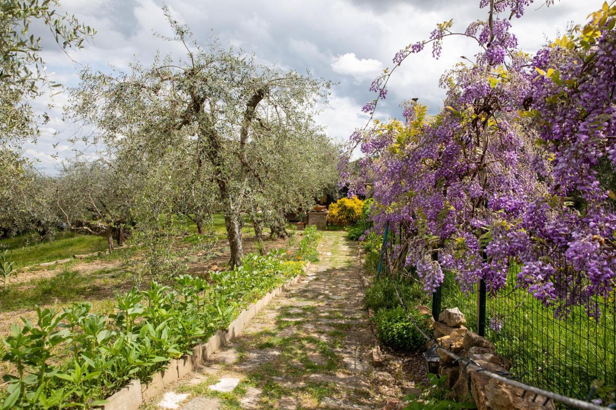 Apartmán Il Poggio Dell'Eremita Rigomagno Exteriér fotografie
