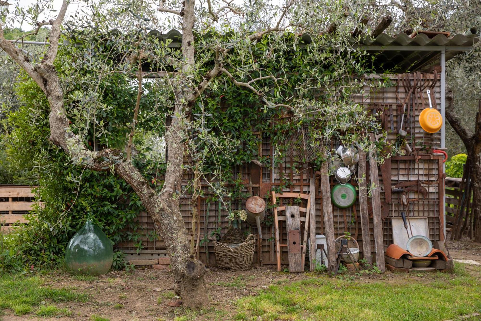 Apartmán Il Poggio Dell'Eremita Rigomagno Exteriér fotografie